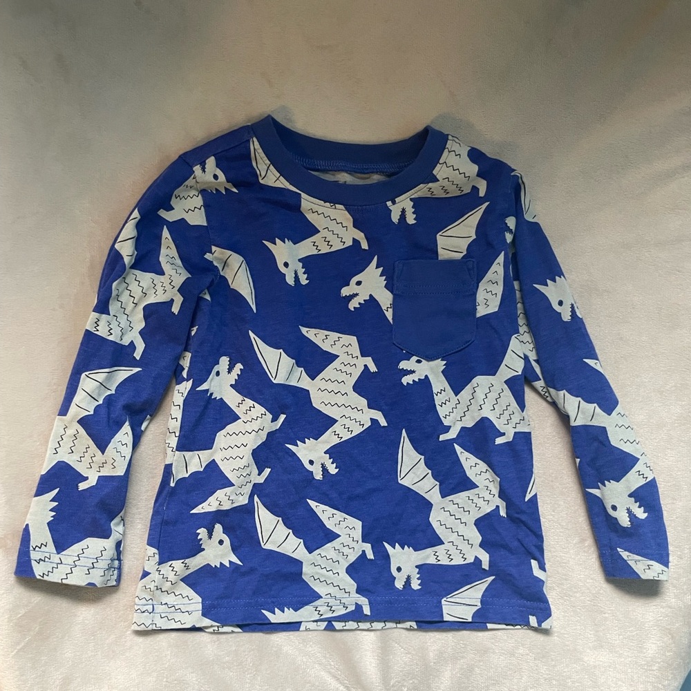 Tea Collection Winged Dragon Shirt 2T